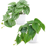 Plantas Artificiales Decorativa Bonsai Con Macetas 2 Pcs