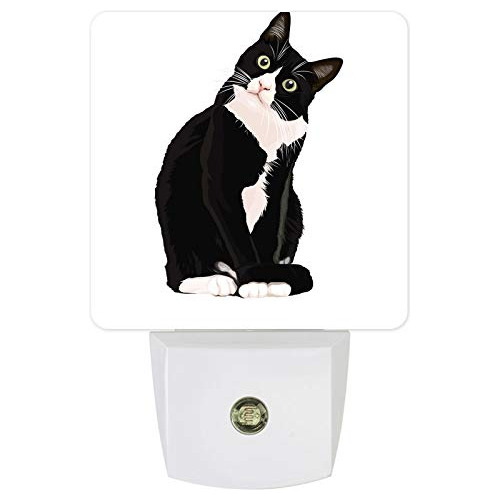 Luces Nocturnas Enchufe De Lindo Gato Negro Led Sensor ...