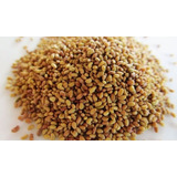 Semillas De Alfalfa Natural X 10 Kg. Para Brotes Pampeana