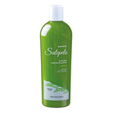 Shampoo Salepelo, Anticaida, Natural, 390ml, Evita La Caida