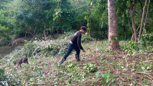 Lote Santa Marta Cerca Al Parque Nacional Tayrona - Imagen 2