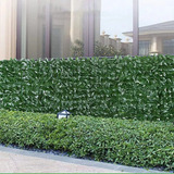 Muro Inglês Jardim Decoração Ficus 1x2 Kit C/ 3