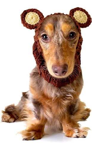 Zoo Snoods Disfraz Oso Para Perros Y Gatos Tamaño Pequeño Ca