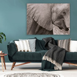 Elefante De Lado, 140x100cms Lienzo Canvas Cuadro Decorativo