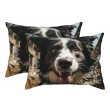 Funda De Almohada Pastor Border Collie 20x36 Pulgadas, Suave