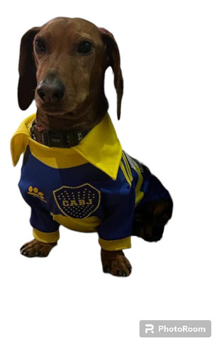 Camiseta Boca Juniors Perro Salchicha Estampa Nombre Y Nro