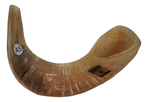 Shofar Carnero Sa5 De 43 A 47 Cm Buen Sonido Variedad Pulido