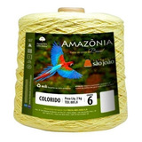 Barbante Amazônia (6 Fios) 2kg Têxtil São João