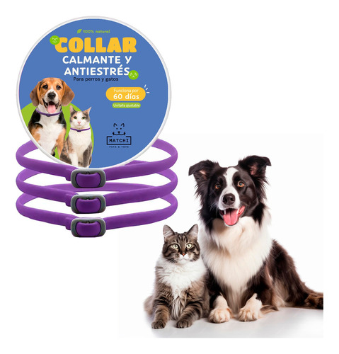 3pack Collar Calmante Antiestrés Para Gatos, Alivio Ansiedad Color Morado Liso Tamaño Del Collar M