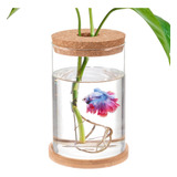 Betta Fish Tank  Mini Cuencos De Peces Para Peces Beta, .