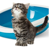 Litera Bandeja Sanitaria Baño Para Gatos Savic Gizmo Azul