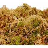 Musgo Sphagnum Hidratado Sustrato Para Orquideas 250gr