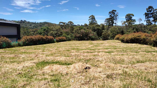 Venta De Lote En El Alto De Las Palmas Sector La Acuarela