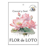 Semillas Flor De Loto