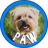 Localizador Paw  Para Mascota, Oferta, Servicio De Por Vida