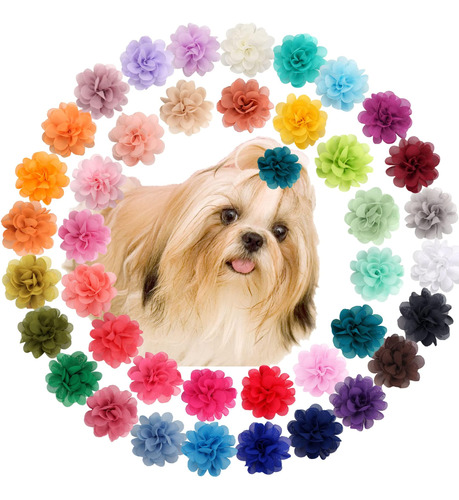 Canguro, 40 Colores, Flor, Perros Pequeños, Lazos Para El Pe