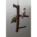 Accesorios Para Aves