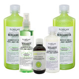 Shampoo Bergamota 1lt Kit 2+ Tónico Capilar + Aceite+ Regalo