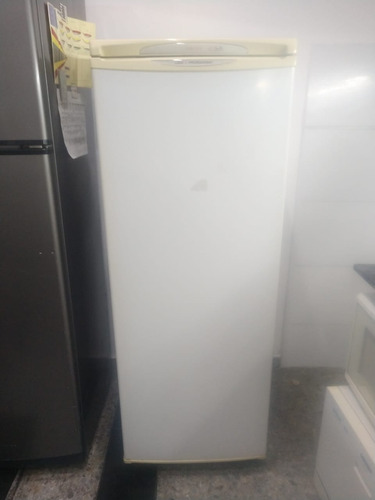 Freezer Vertical Prosdocimo Cindy F21, Usado