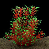 Plantas Acuario Artificiales Para Peces - Qumy (b-red)
