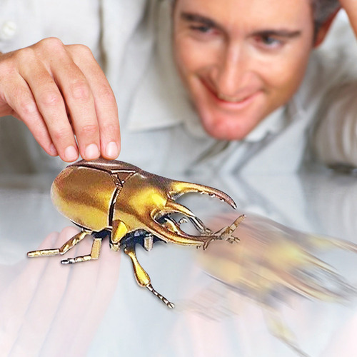 Escarabajo Luchador Sinuoso Para Niños Modelo Moving Insect