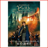 Poster Película Los Secretos De Dumbledore #8 - 40x60cm