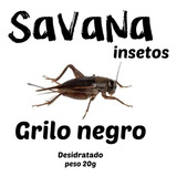 Grilo Desidratado Savana Insetos 