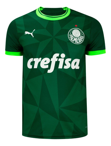 Camiseta Masculina Puma Palmeiras