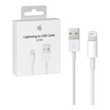 Apple Cable iPhone Usb C Lightning Original 1mts
