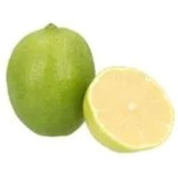 Árbol De Limón Persa , Ya Ramificado Produciendo 1.30m