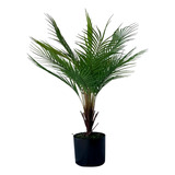 1 Mini Árvore Palmeira Premium Planta Artificial Para Sala