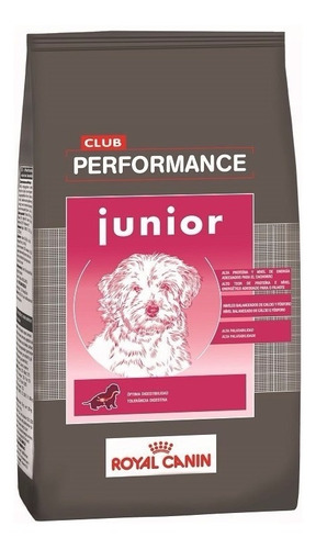 Royal Canin Performance Junior 15 Kg Envios Zona Oeste!