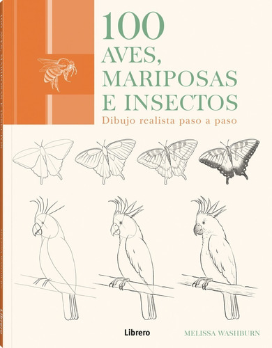 100 Aves, Mariposas E Insectos - Dibujo Realista Paso A Paso
