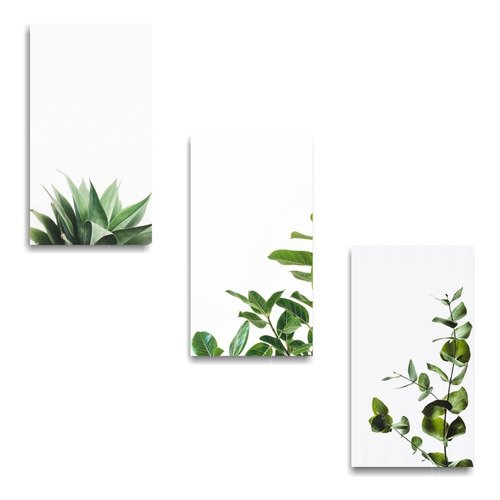 Set Cuadros Triptico Plantas Minimalistas  Mdf 22cm X 40cm