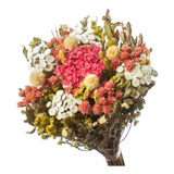Buquê Preservado Rústico Colorido N16 I Flores Desidratadas