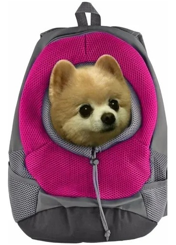 Mochila Transportadora Para Mascotas Chicas