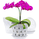 Kit De 5 Macetas Rígidas Transparentes - Orquídeas