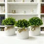 Set 3 Macetas Decorativas Con Plantas Artificiales Chicas Verde | Envío gratis