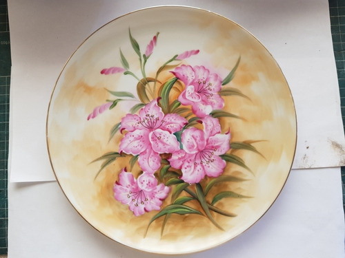 Plato Decorativo En Fina Porcelana China Pintado A Mano