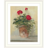 Geraniums En Maceta Ii Por Carol Rowan - Imprimir