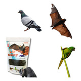 Repelente Anti Pássaro Pombo Morcego Maritaca 100% Natural