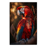 Cuadro De Colección Aves Hermosas Guacamaya Bandera # 2 Ch