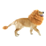 Disfraz Melena León Para Perro Peluca León Para Perro Mascot