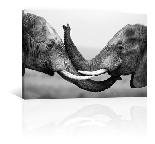 Cuadro Decorativo Canvas Animales Elefante Hermanos