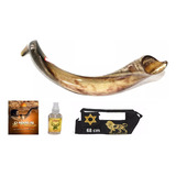 Shofar De Chifre Antilope +  Livro + Brinde - De Israel #s2