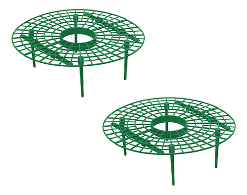 Suportes Para O Cultivo De Plantas De Morango Mantêm Morango