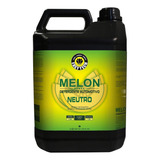 Shampoo Automotivo Mega Espuma Concentrado Melon Easytech 5l