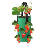 Bolsas De Cultivo De Fresas, Bolsa Para Plantas Colgable