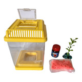 Kit Betta (pecera) 1 Litro Equipada