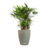 Vaso Para Plantas Decorativo Diamante Redondo N1 Promoção